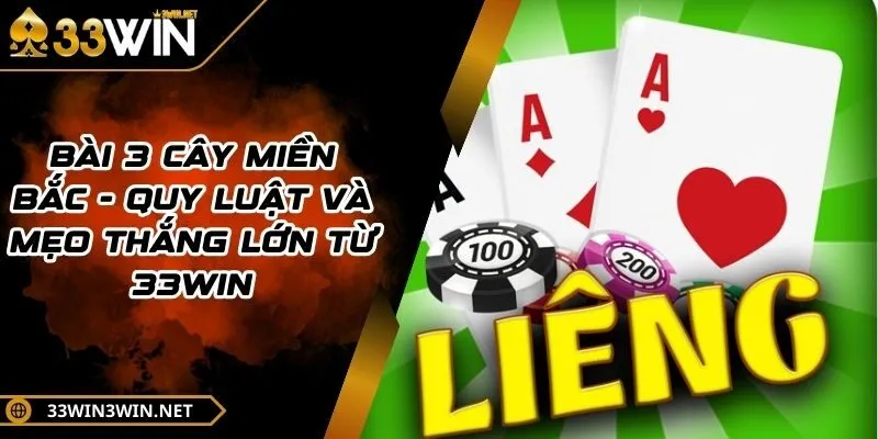 bai-3-cay-mien-bac