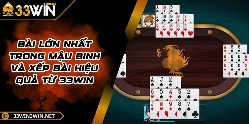 bai-lon-nhat-trong-mau-binh